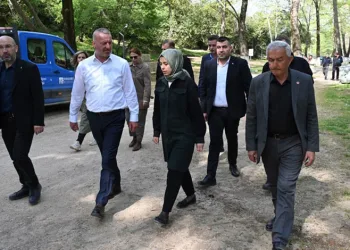 Yeniköy Piknik Alanı Yaza Hazır