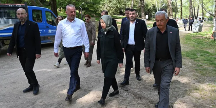 Yeniköy Piknik Alanı Yaza Hazır