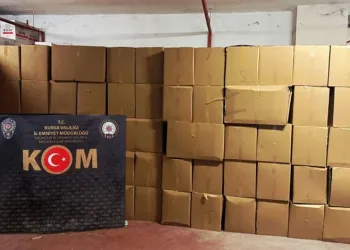 Bursa’da rekor kaçak makaron operasyonu
