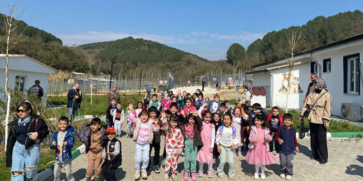 Sokak Hayvanlarına Modern Bakım ve Rehabilitasyon Hizmeti