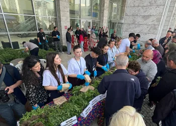 Nilüfer’de ücretsiz fide dağıtımına yoğun ilgi