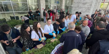 Nilüfer’de ücretsiz fide dağıtımına yoğun ilgi