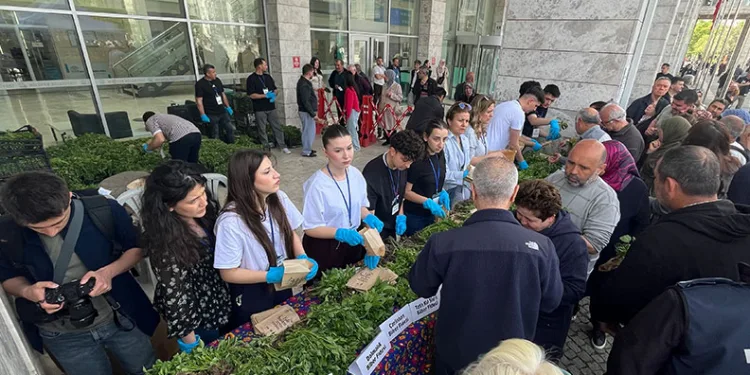 Nilüfer’de ücretsiz fide dağıtımına yoğun ilgi