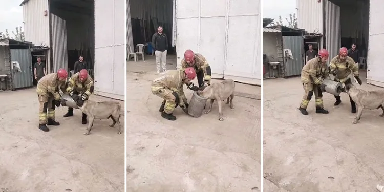 Bursa’da hava filtresine sıkışan köpek kurtarıldı
