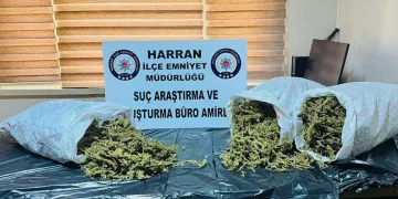Şanlıurfa’da 8 kilo uyuşturucu ele geçirildi: 1 şahıs tutuklandı