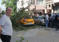 Bursa’da seyir halindeki araçların üzerine ağaç devrildi