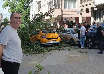 Bursa’da seyir halindeki araçların üzerine ağaç devrildi