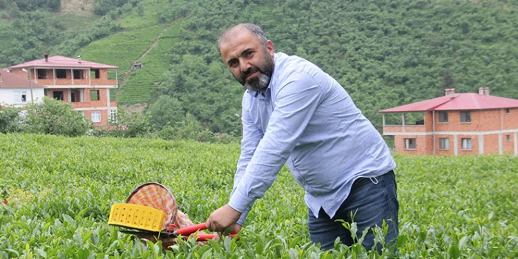 Çay üreticileri zam bekliyor