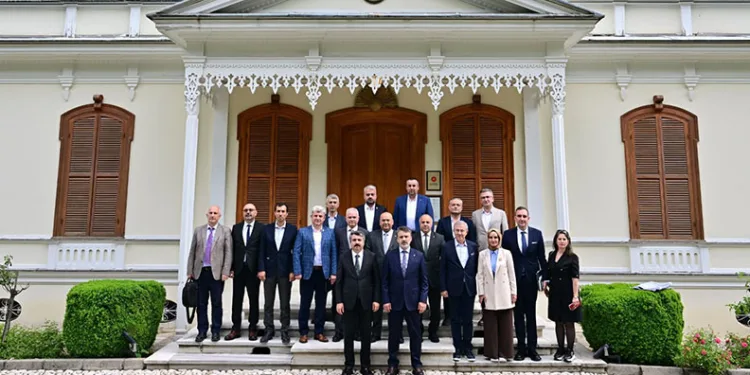 Yıldırım için güç birliği