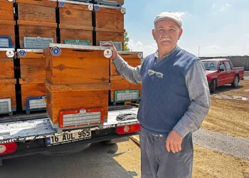Bursa Büyükşehir’den arıcılığa destek