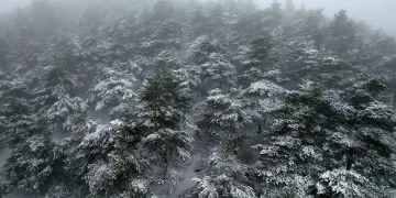 Tokat’ta bahar ortasında yağan kar mest etti