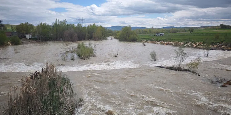Türkiye’nin en uzun nehri Kızılırmak’ı besleyen Yıldız Irmağı coştu