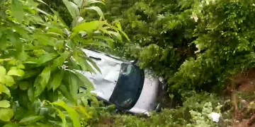 5 metre yükseklikten şarampole uçan araçtaki 3 kişi yaralandı