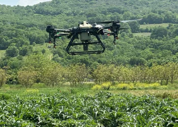 Kestel Belediyesinden çiftçiye drone desteği