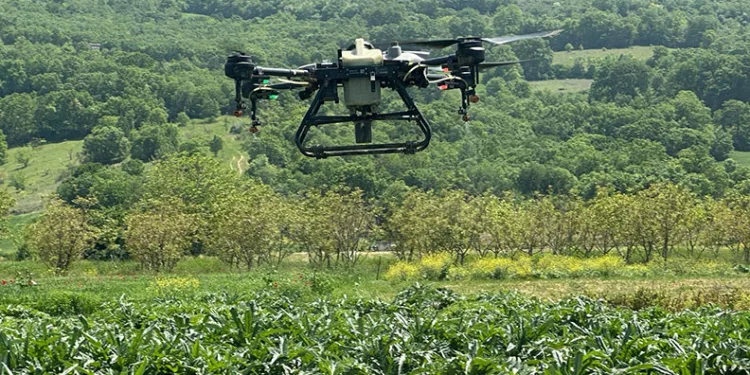 Kestel Belediyesinden çiftçiye drone desteği