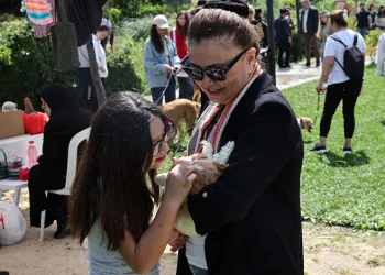 Sahiplendirme Şenliği’nde can dostlara yeni yuva