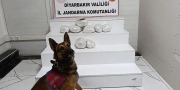 Diyarbakır’da narkotik operasyonu