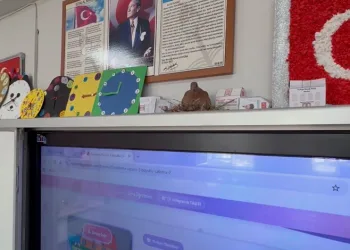 Anne kumru yuvasını okulun sınıfına kurdu