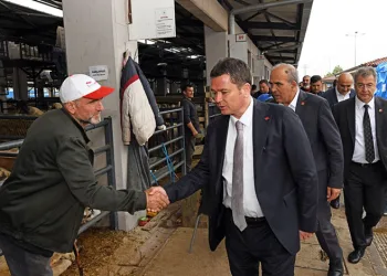 Osmangazi’de kurban satış ve kesim alanları hizmete hazır