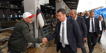 Osmangazi’de kurban satış ve kesim alanları hizmete hazır