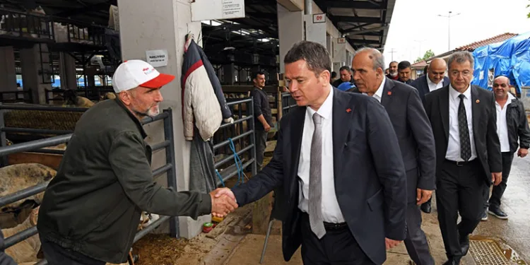 Osmangazi’de kurban satış ve kesim alanları hizmete hazır