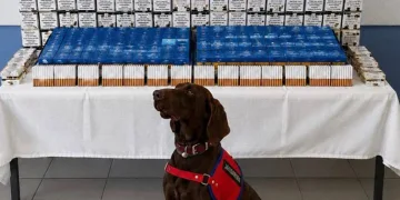Bolu’da kaçakçılık operasyonu: 2 gözaltı