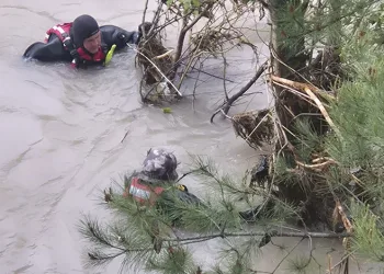 Kelkit Çayı’na atlayan kızı arama çalışmaları 6’ncı gününde de devam ediyor