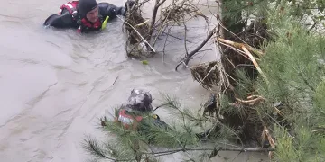 Kelkit Çayı’na atlayan kızı arama çalışmaları 6’ncı gününde de devam ediyor