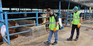 Bursa Büyükşehir, Kurban Bayramı’na hazır