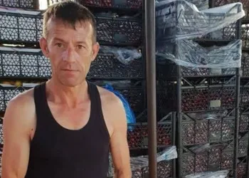 İzmit’te evinde bıçaklanan kişi hayatını kaybetti: 2 gözaltı