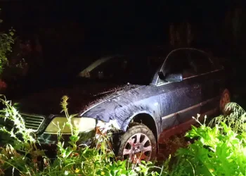 Bursa’da tarlaya uçtuğu otomobilini bırakıp gitti