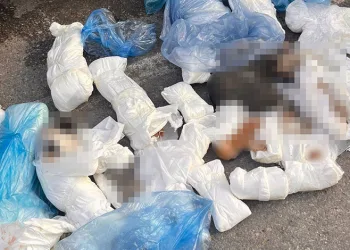 İzmir’deki ’33 ölü kedi’ vahşetinde yeni gelişme