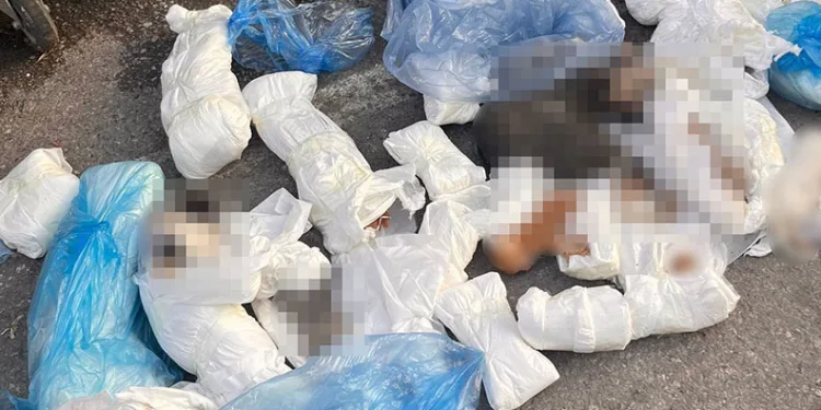 İzmir’deki ’33 ölü kedi’ vahşetinde yeni gelişme