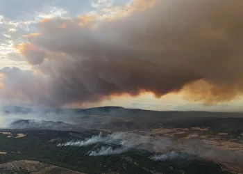 Çanakkale Valiliği uyardı, ormana girişler yasaklandı