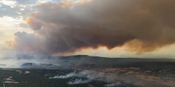 Çanakkale Valiliği uyardı, ormana girişler yasaklandı