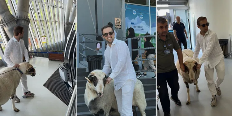 Bayramda keseceği koçla teleferik keyfi yaptı