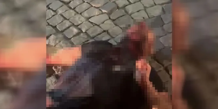 Husumetli olduğu akrabasının boğazını kesip kahvehanenin önüne attı