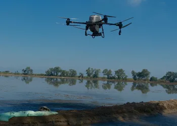 Dron ile çeltik ekimi