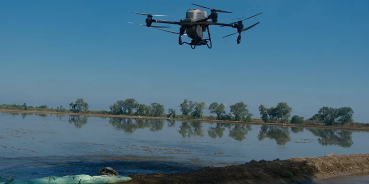 Dron ile çeltik ekimi