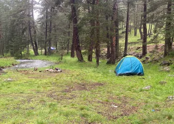 Piknik yaptıkları alana yıldırım düştü: 1’i ağır 3 yaralı
