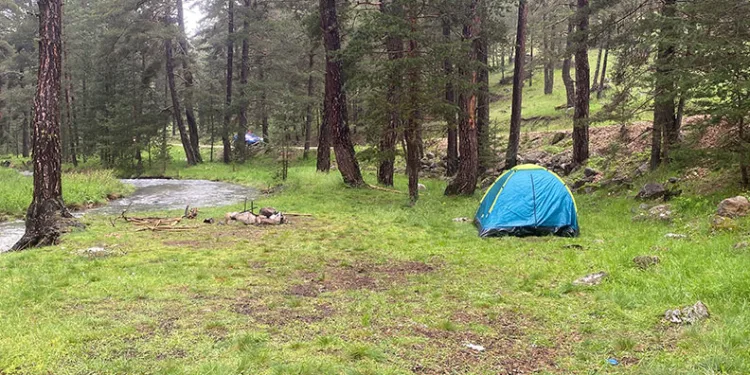 Piknik yaptıkları alana yıldırım düştü: 1’i ağır 3 yaralı
