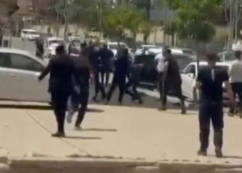 Silopi’de arazi kavgası: 7 yaralı