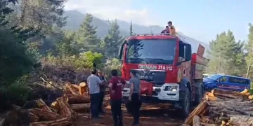 Hatay’da ormanı yangını çıktı