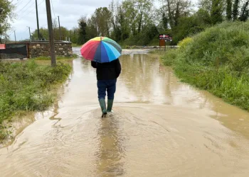 Düzce’de sağanak köprü yıktı, tarım arazileri ve evleri su bastı
