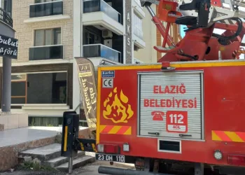 Cam arasına sıkışan güvercin kurtarıldı