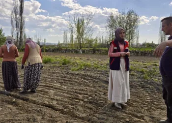 Tarım arazilerinde kontroller sürüyor