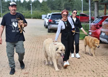 Büyükşehir Bakımevi’nde can dostlar sıcak yuvalarına kavuşuyor