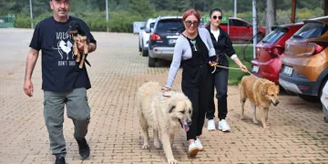 Büyükşehir Bakımevi’nde can dostlar sıcak yuvalarına kavuşuyor