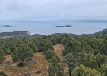 Türkiye’nin en büyük tatlı su gölü için yeni koruma hamlesi