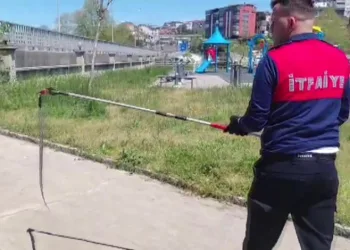 Dernek binasına giren yılanı itfaiye yakalayıp doğaya saldı